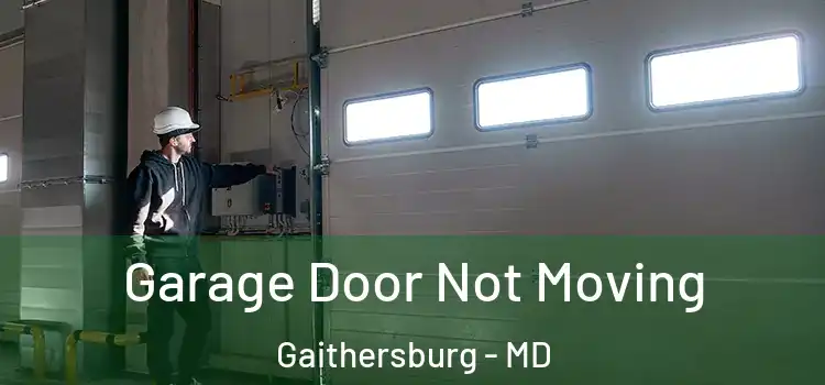  Garage Door Not Moving Gaithersburg - MD