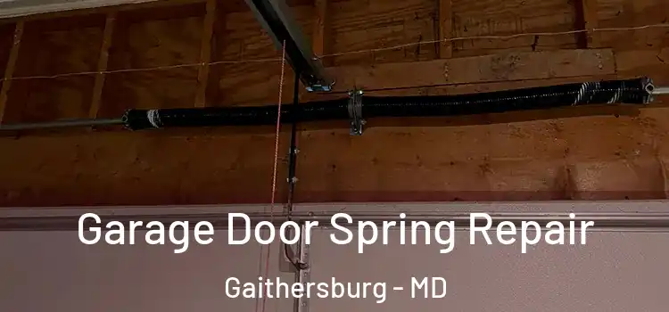  Garage Door Spring Repair Gaithersburg - MD