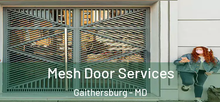 Mesh Door Services Gaithersburg - MD